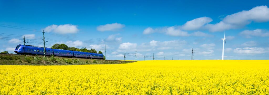 Rapsfält som lyser gult med tåg och vindkraft mot blå himmel i bakgrunden.