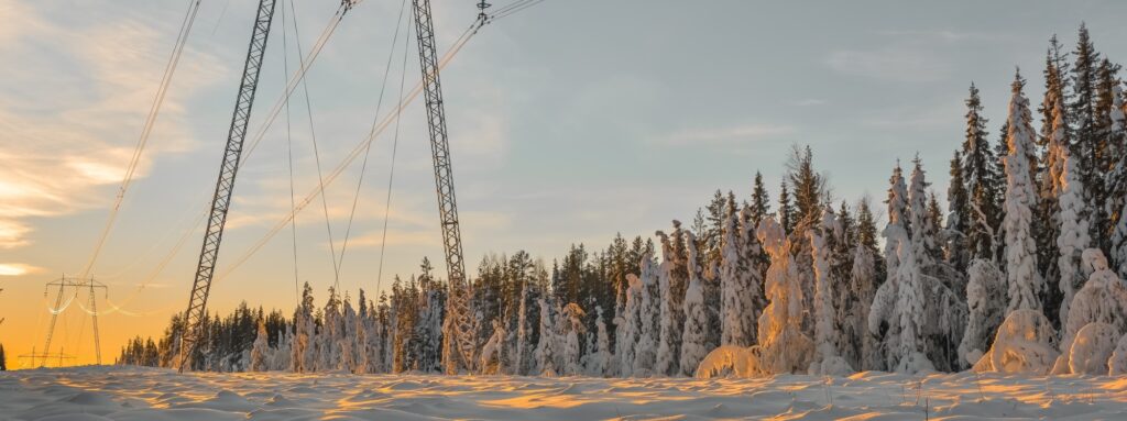 Kraftledning i soluppgång omgiven av skog i vinterskrud och snö på marken.